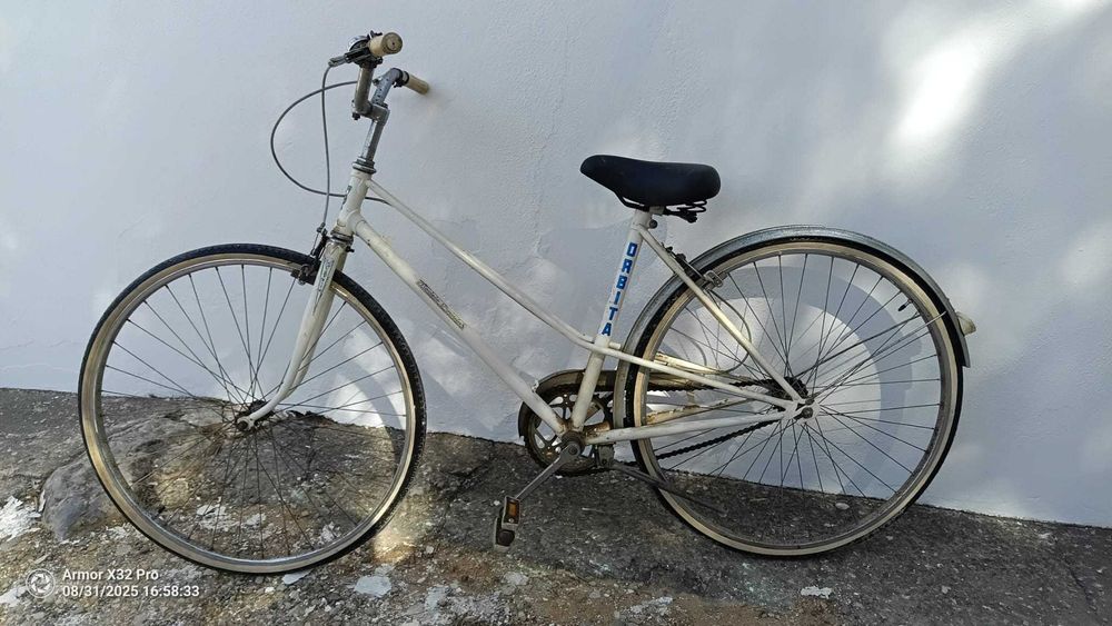 Bicicleta Pasteleira Orbita