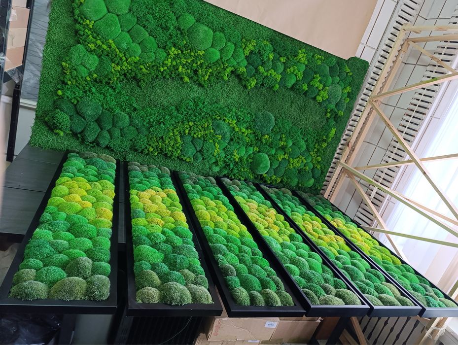 Картини з Мохом. Декор із Моху. Фітопанель з Моху