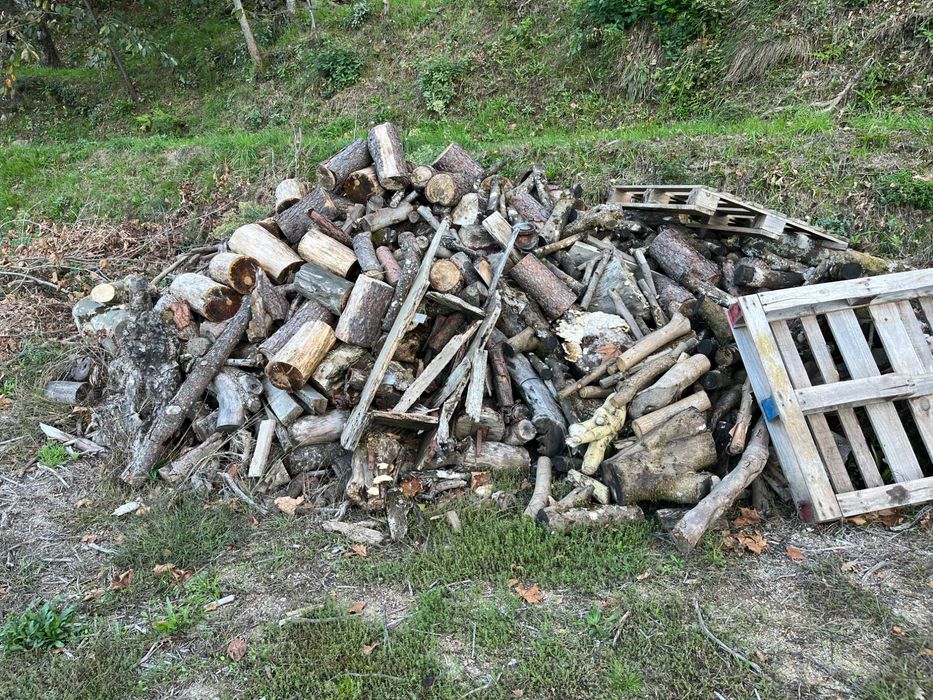 Vendo Lanha de Oliveira, Castanheiro, Plátano: