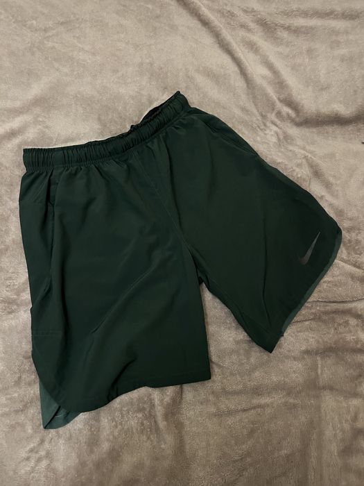 Чоловічі шорти Nike dri fit