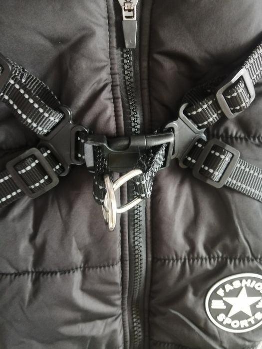 Продам жилеточку для песика