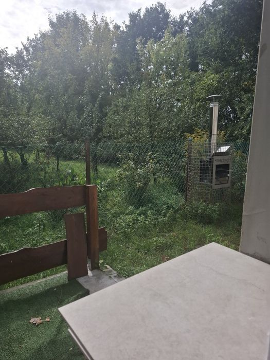 Zdjęcie 7