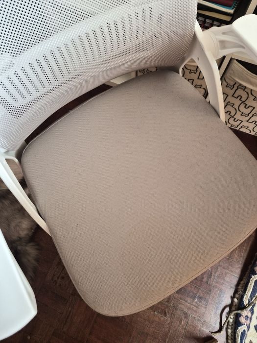 Cadeira secretária gatinha ergonómica