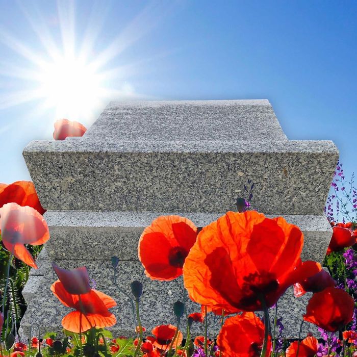 Palisada granitowa Cięto łupana fi 25