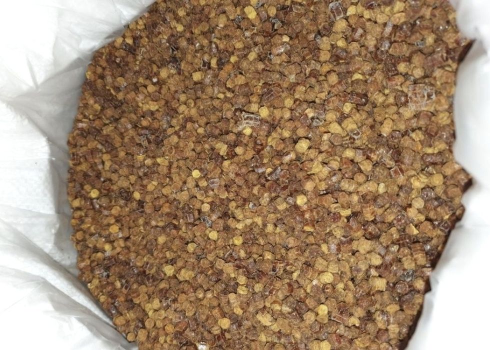 Miód hurtowo hurt wielokwiat rzepak gryka słonecznik Wrzos Pyłek