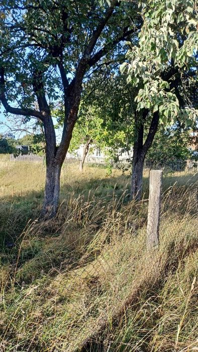 Продаж/обмін будинку (23 сот) на 1-кім квартиру