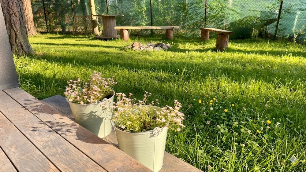 Domek nad jeziorem Jeziorak - Makowo – wynajem