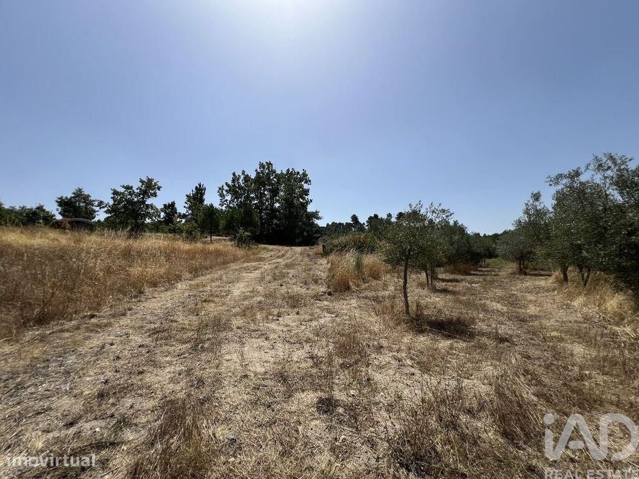 Terreno em Sernancelhe e Sarzeda de 44527,00 m2