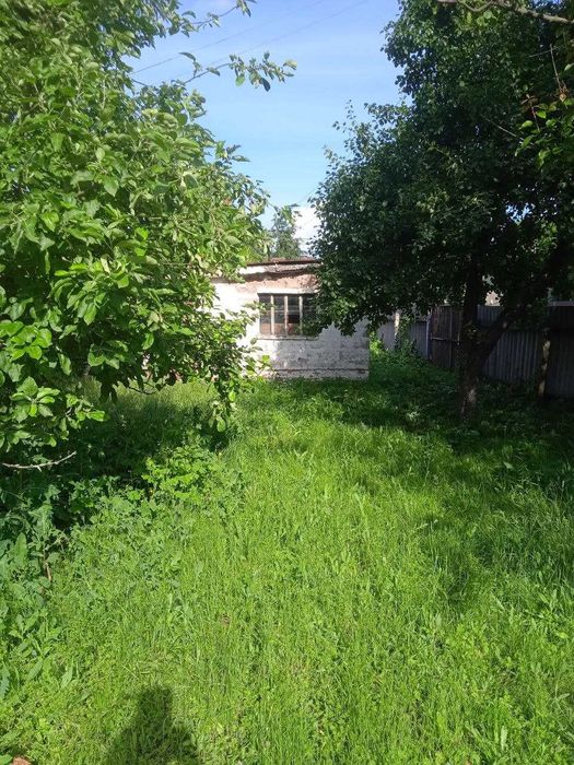 Продам будинок в селі Локнисте