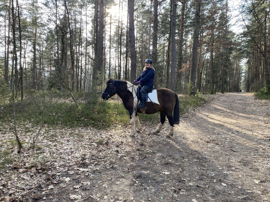 Sprzedam lub zamienie Hucuł