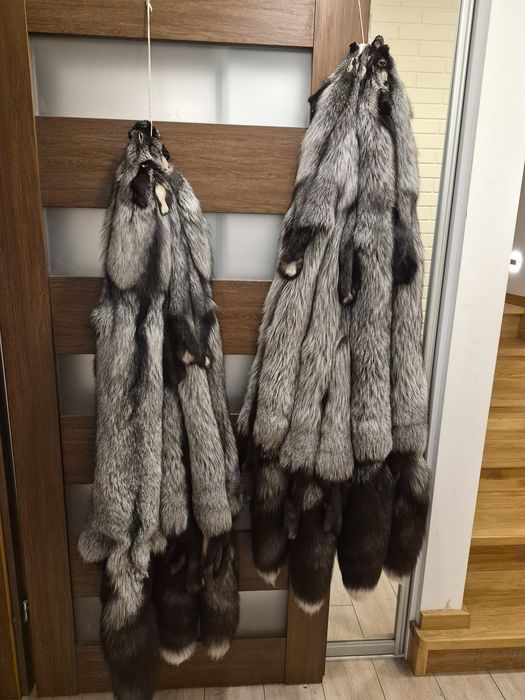 Skóry z lisa srebrnego