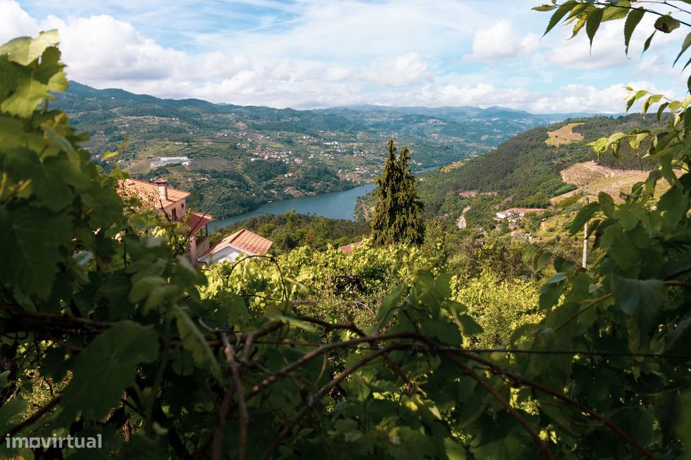 Terreno P/ Construção Com Vista Para O Rio Douro