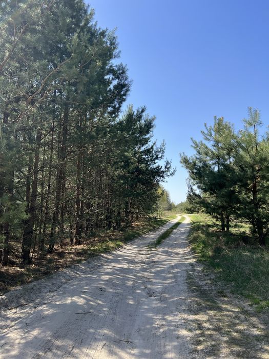 Продаж Земельна ділянка. Без комісії %