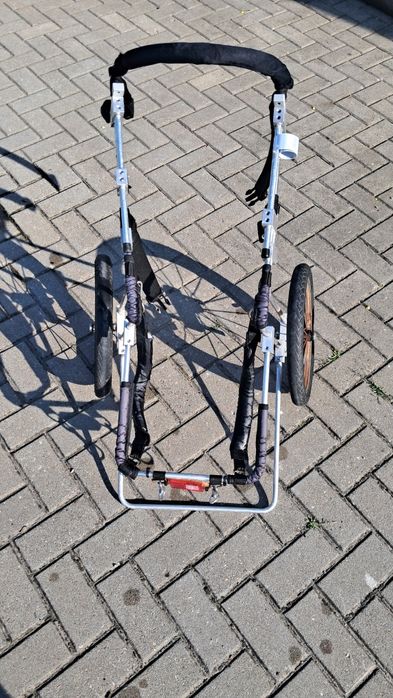 Wózek inwalidzki dla psa