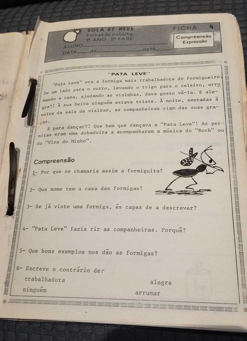 Bola de Neve 1 Ano 2 fase - Livro escolar antigo