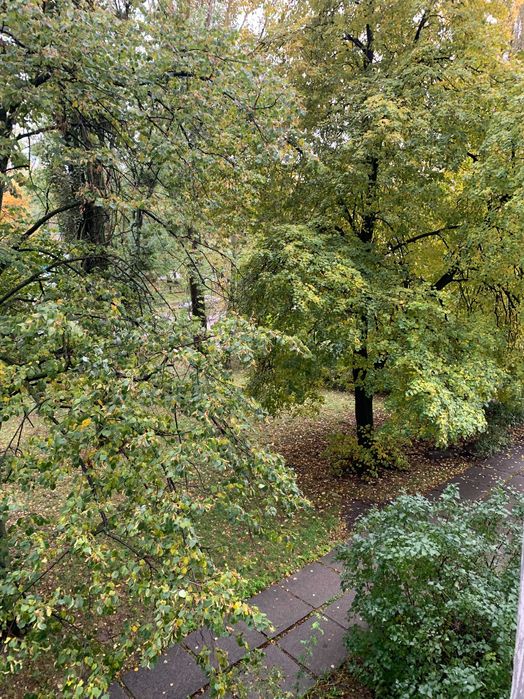 Продам 1к. квартиру вул. Шалімова (Героів Севастополя) 33.