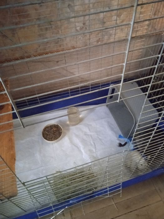 Продам клетку для грызунов.