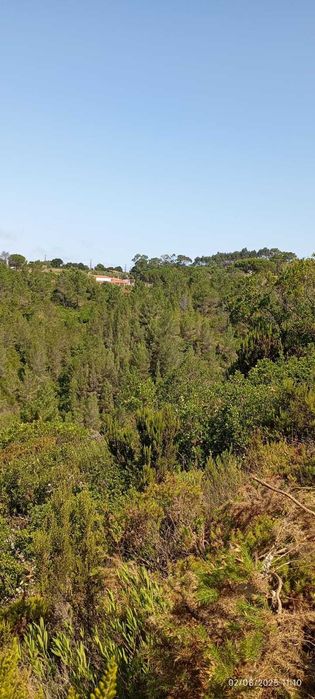 Terreno Rústico com 2.875 m² em Alto Famoes, Mafra.
