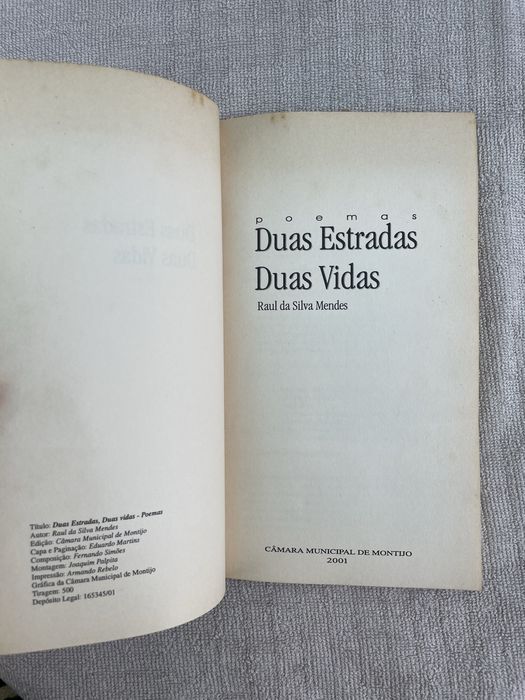 Duas Estradas Duas Vidas - Raul da Silva Mendes
