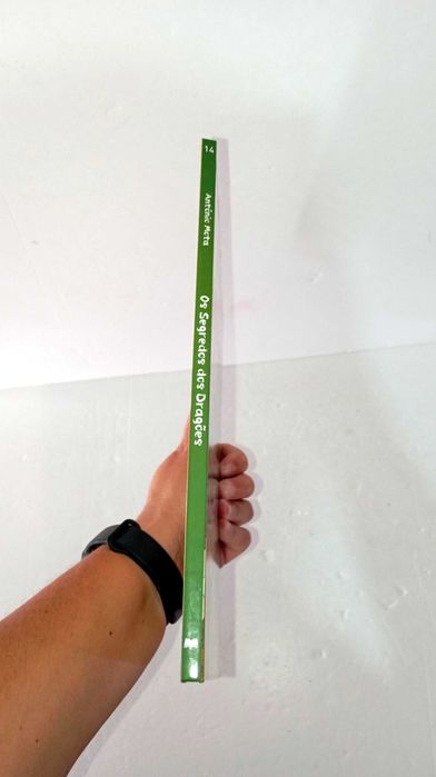 Os Segredos dos Dragões - António Mota