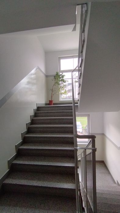 Zdjęcie 8