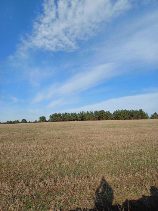 продам земельный участок г.Мерефа р-н (Поле чудес) ул. Рождественская