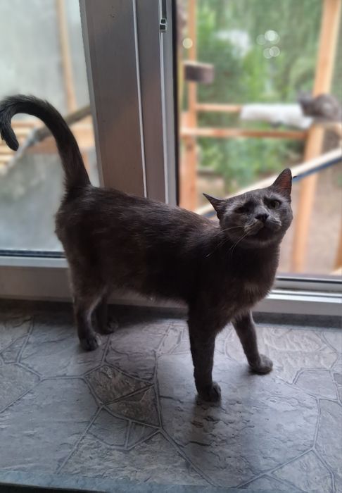 Piękna Migotka wyrzucona do rowu, szuka swojego człowieka