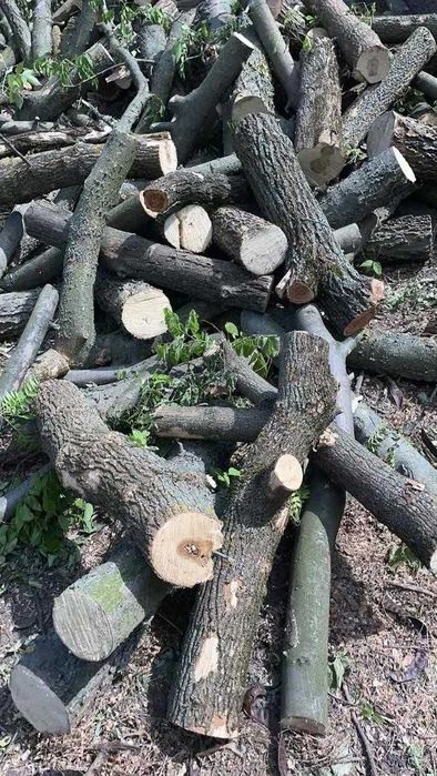 Сухие дрова. Рубаные.Не Дорого!