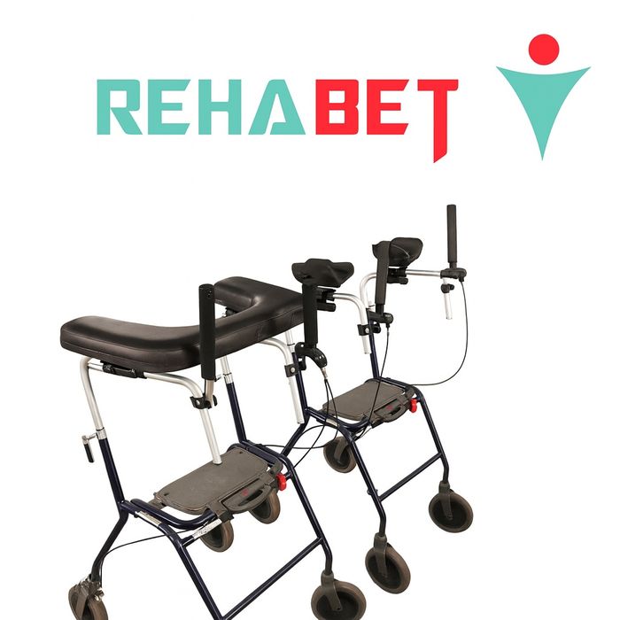 Chodzik Ambona wynajem wypożyczalnia dowóz