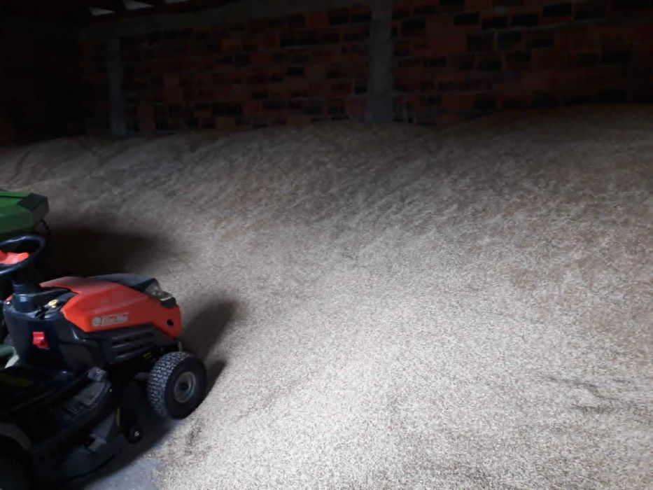 Owies Zimowy Snowbird      25 ton pellet