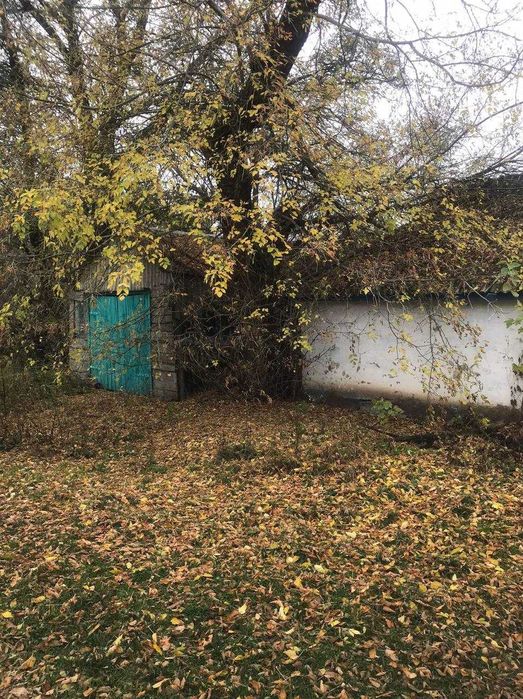 Продам будинок зі зручностями с. Водяне Магдалинівка з документами