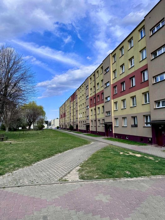 3 pokoje | 46 m² | Ogrzewanie miejskie I Bez piecyka I Centrum Skarżyska - Więcej