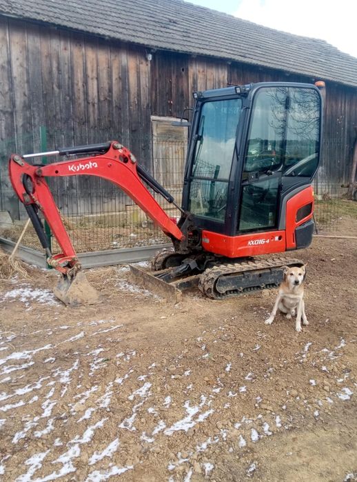 Minikoparka wynajem.