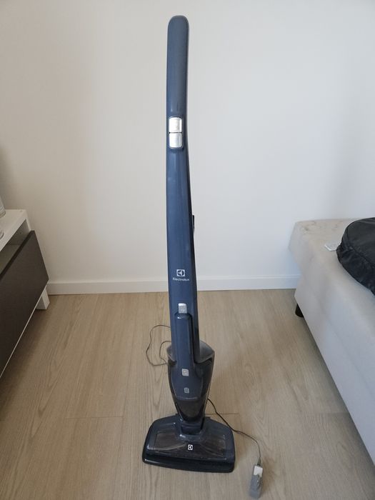 Aspirador Electrolux Ergorapido