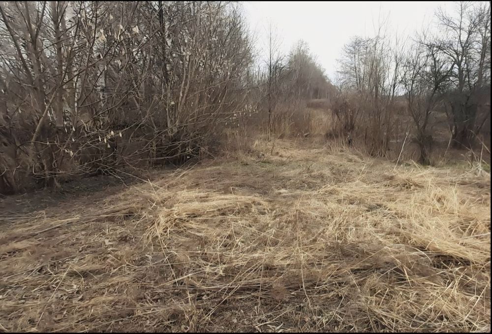 Продається будинок в с. Літки.
