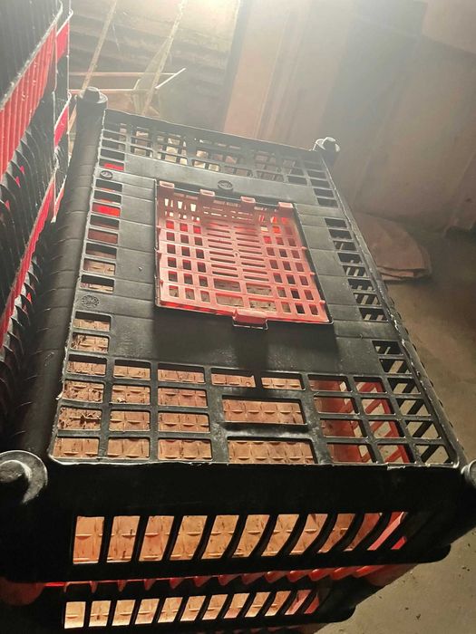 klatka klatki skrzynka do transportu drobiu , ptaków