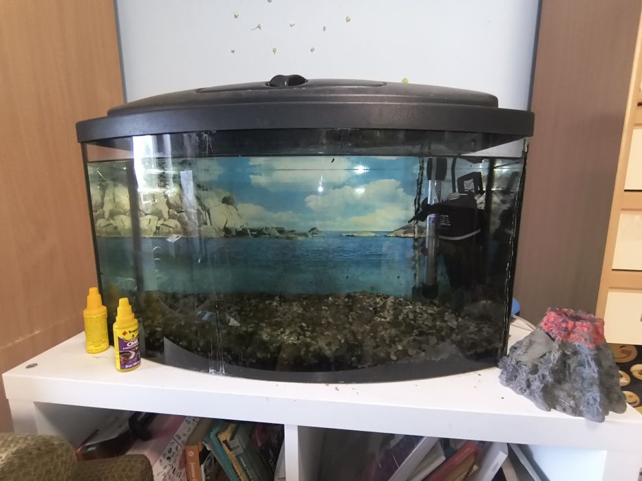 Sprzedam akwarium 60l