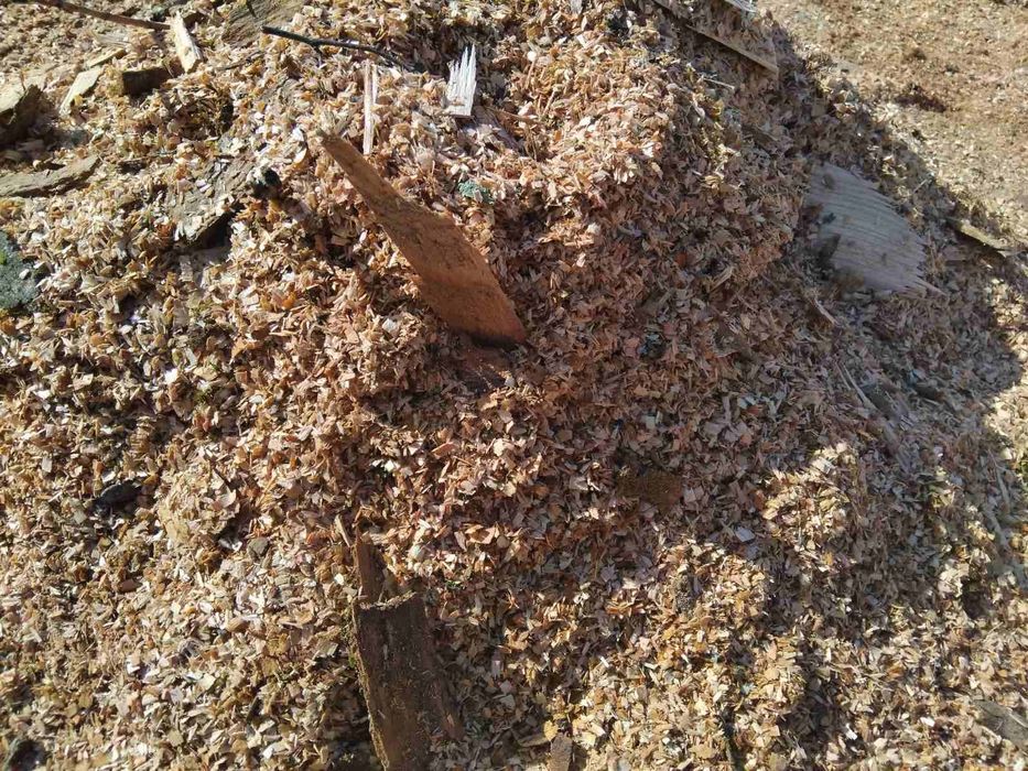 Тирса з доставкою 1500 грн за 5 кубів мульча дача огород дачі