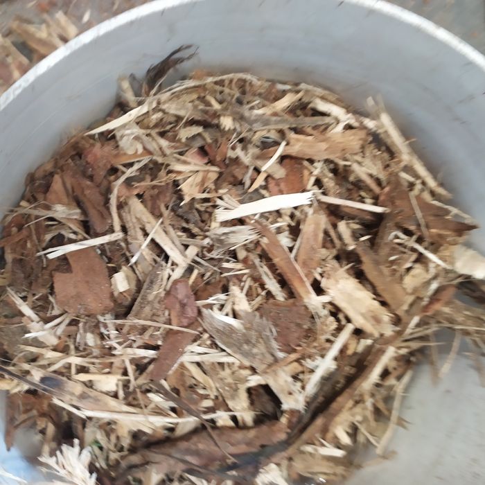 Kora drzewna , zrębka mix, wyściółka,ściółka,zrębka.
