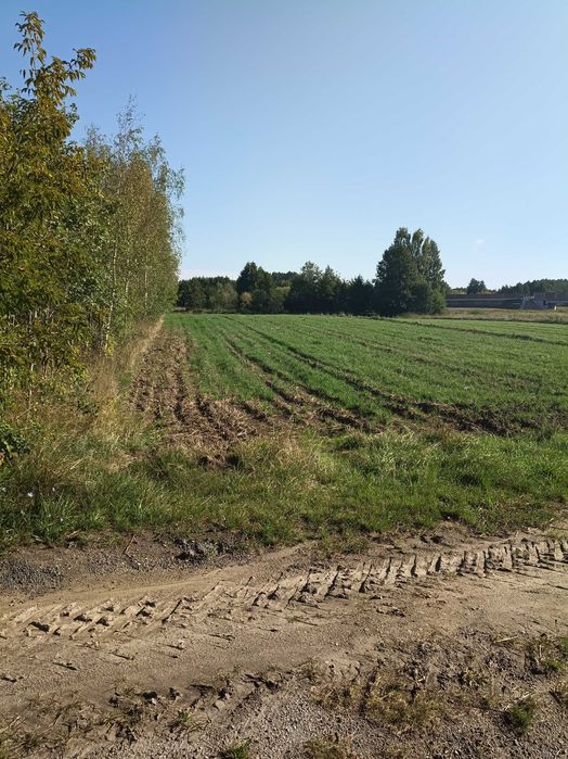 Działka do sprzedania