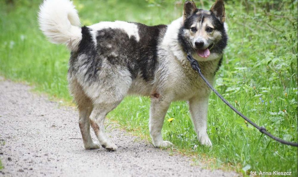 Zapomniany i niechciany Atos...