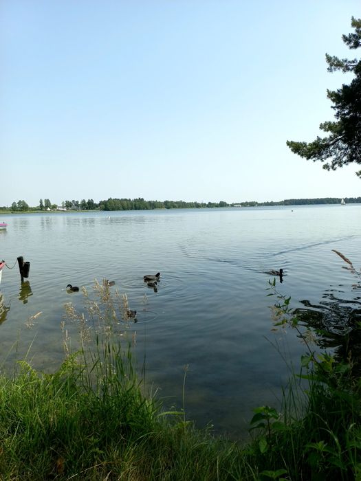 Mieszkanie – Okuninka - Widok 4