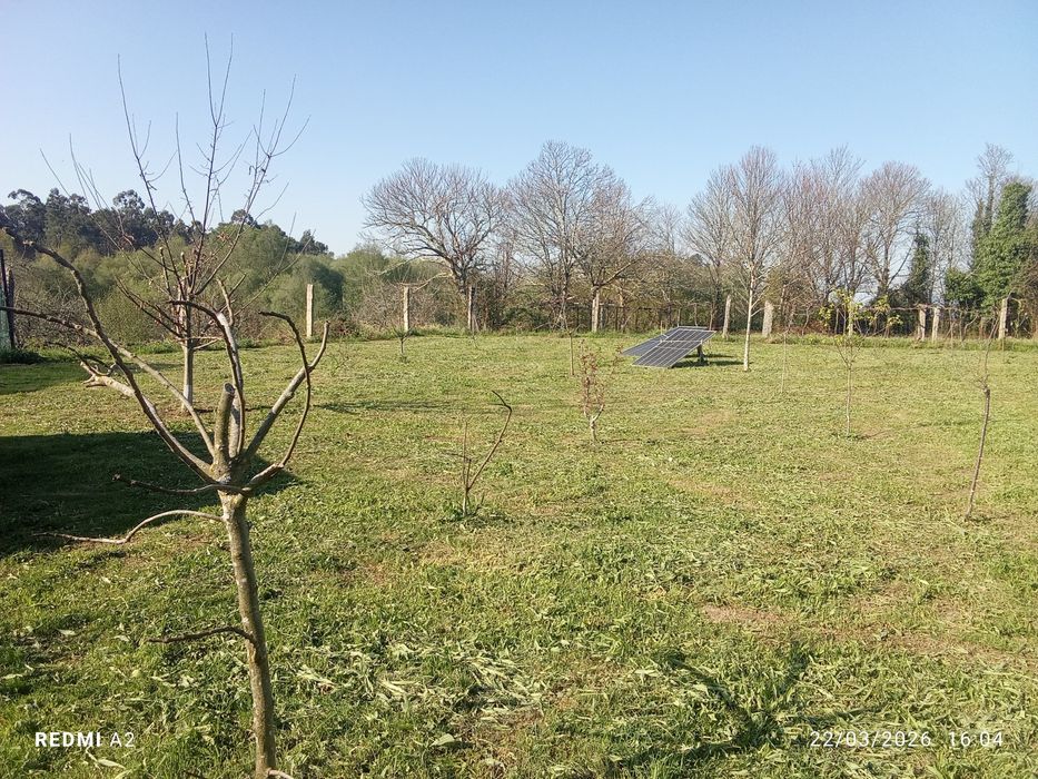 terreno pomar 3100 m2