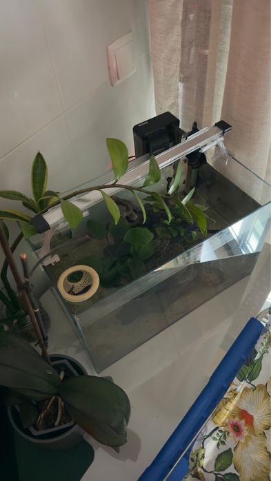 Kit completo - Aquario - Aquascaping 40x23x24