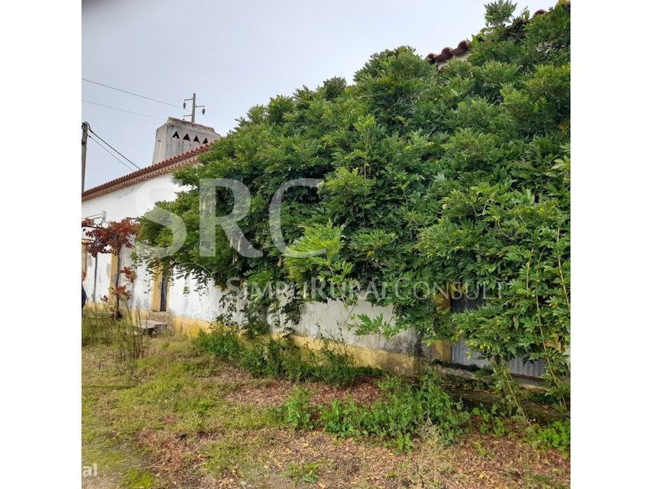 Quinta agrícola Valhascos/Sardoal