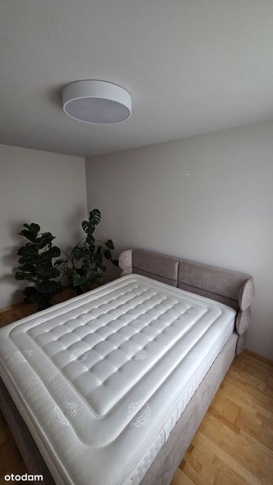 Mieszkanie  2 pokoje 50m2, przy parku Widzewska Górka