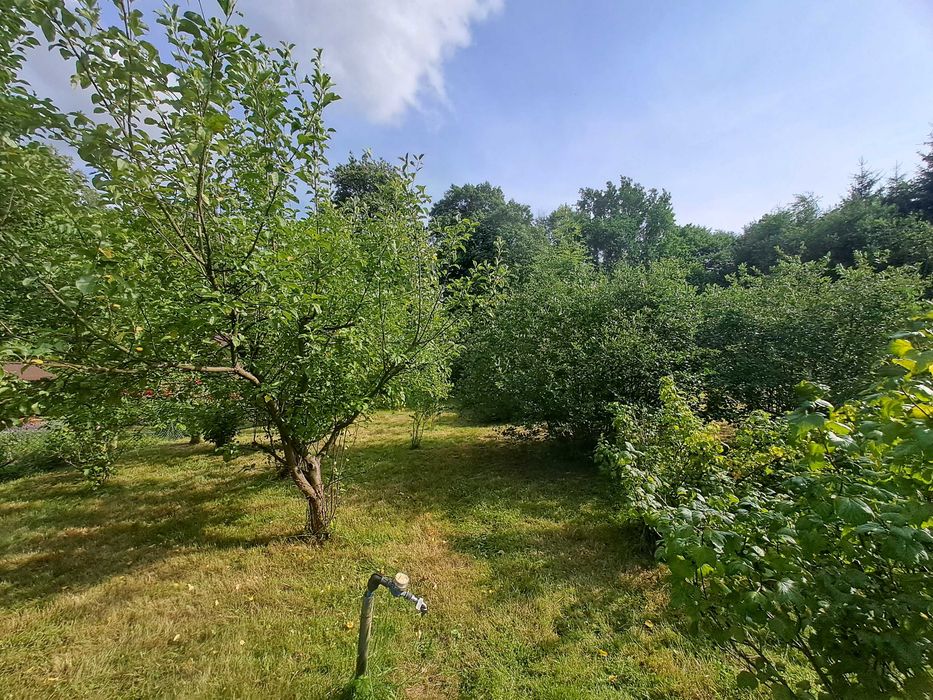 Działka, ogród, ogródek z altaną, grill foremna 2x4,5 ara