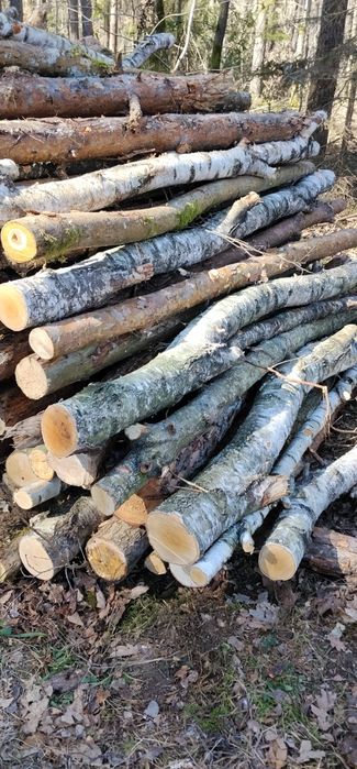 Drewno opałowe , mieszane