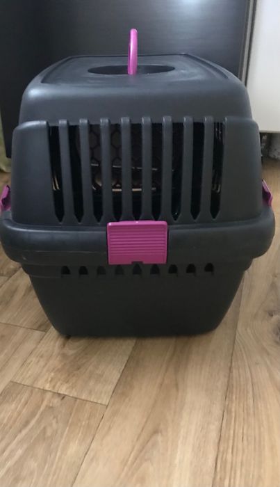 Переносках для кота