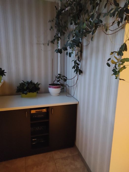 Здається 2х кім квартира Поділля 15500+